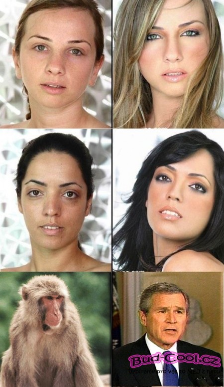 Makeup Bushe a dalších